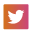 icone Twitter